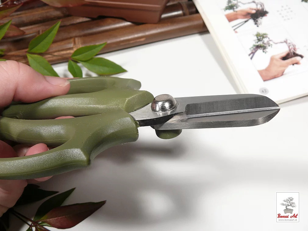 Masvne krtke nonice na bonsaje a kvety - rukov z tvrdho plastu - zelen