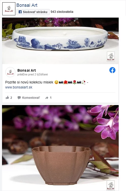 Facebook Bonsai Art odkaz