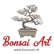 logo bonsai art