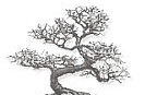 logo bonsai art tree