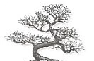 Logo Bonsai Art