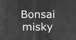 Bonsai misky menu