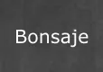 Bonsaje menu
